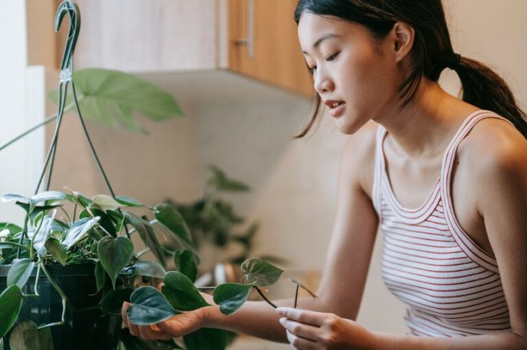 Como cuidar das plantas corretamente