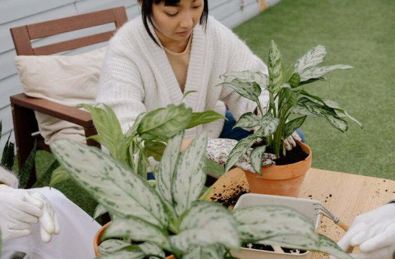 Melhores plantas para ambientes externos